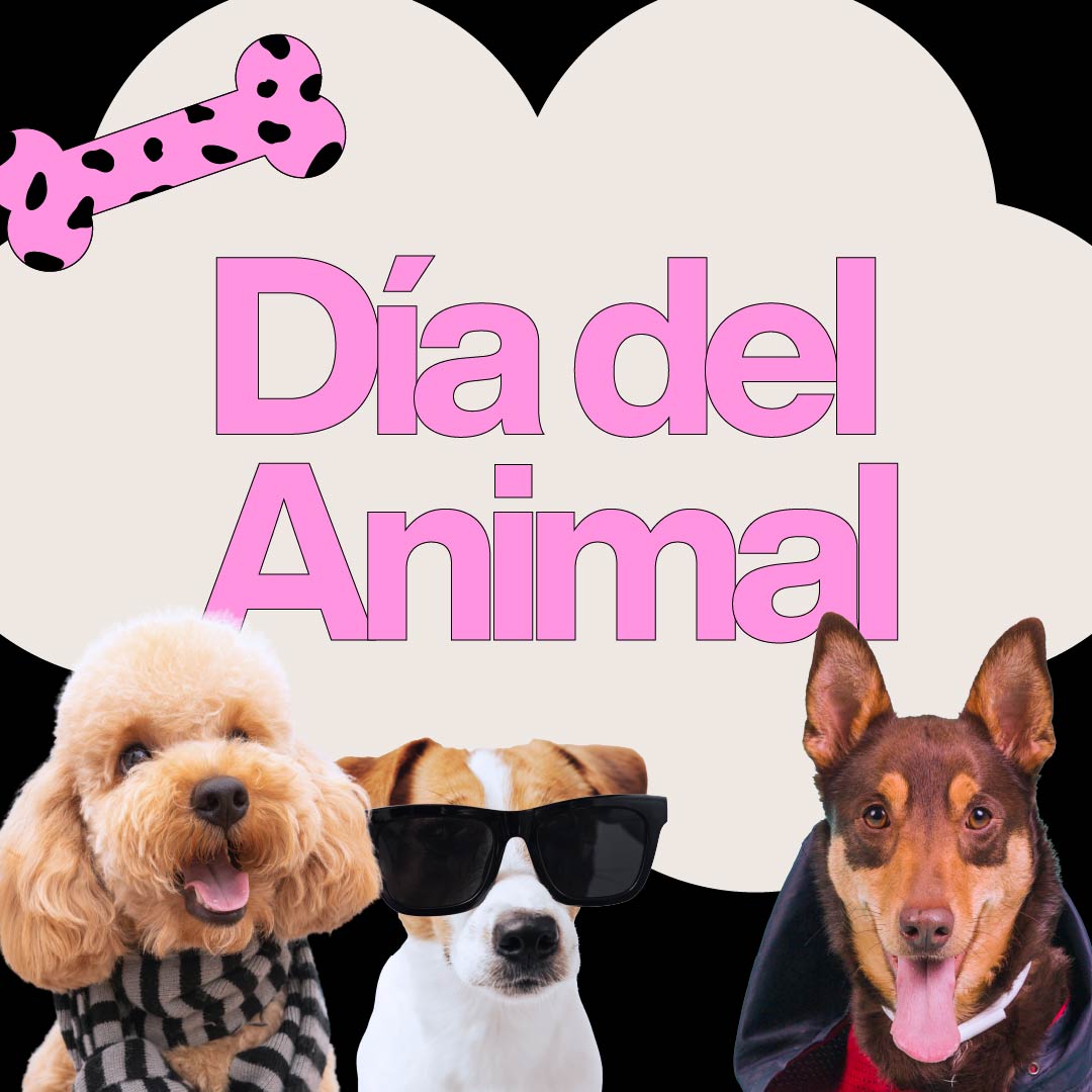 DÍA DEL ANIMAL